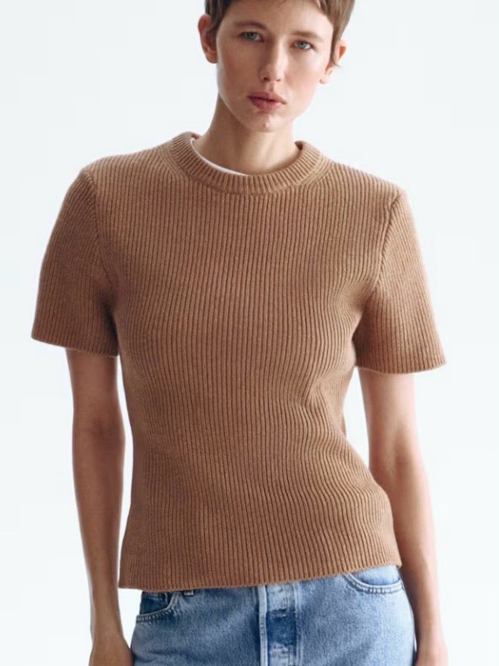 Wool and cotton blend Classic Ribbed Short-Sleeve Knit Top - Camel